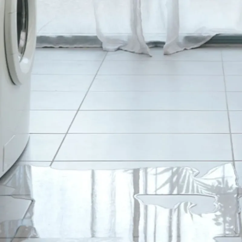 Appliance Leak Cleanup in Real County, TX