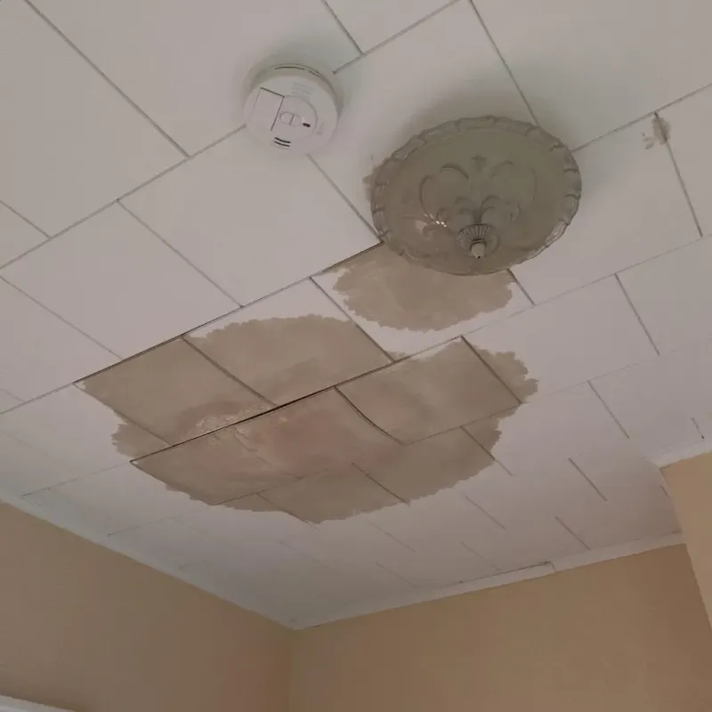 Ceiling Water Damage Repair in Real County, TX