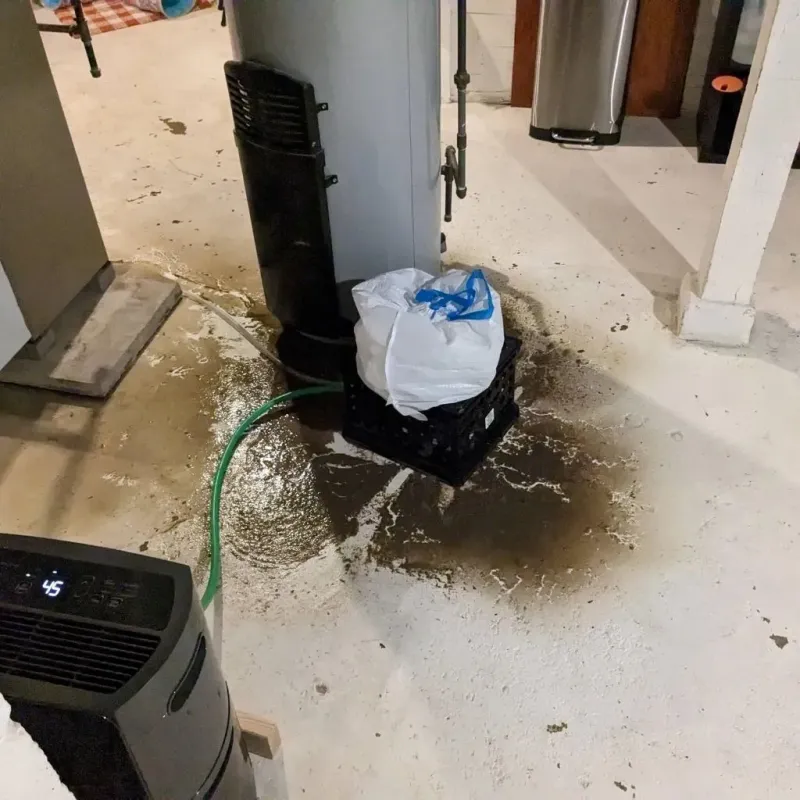 Sewage Backup Cleanup Service in Real County, TX